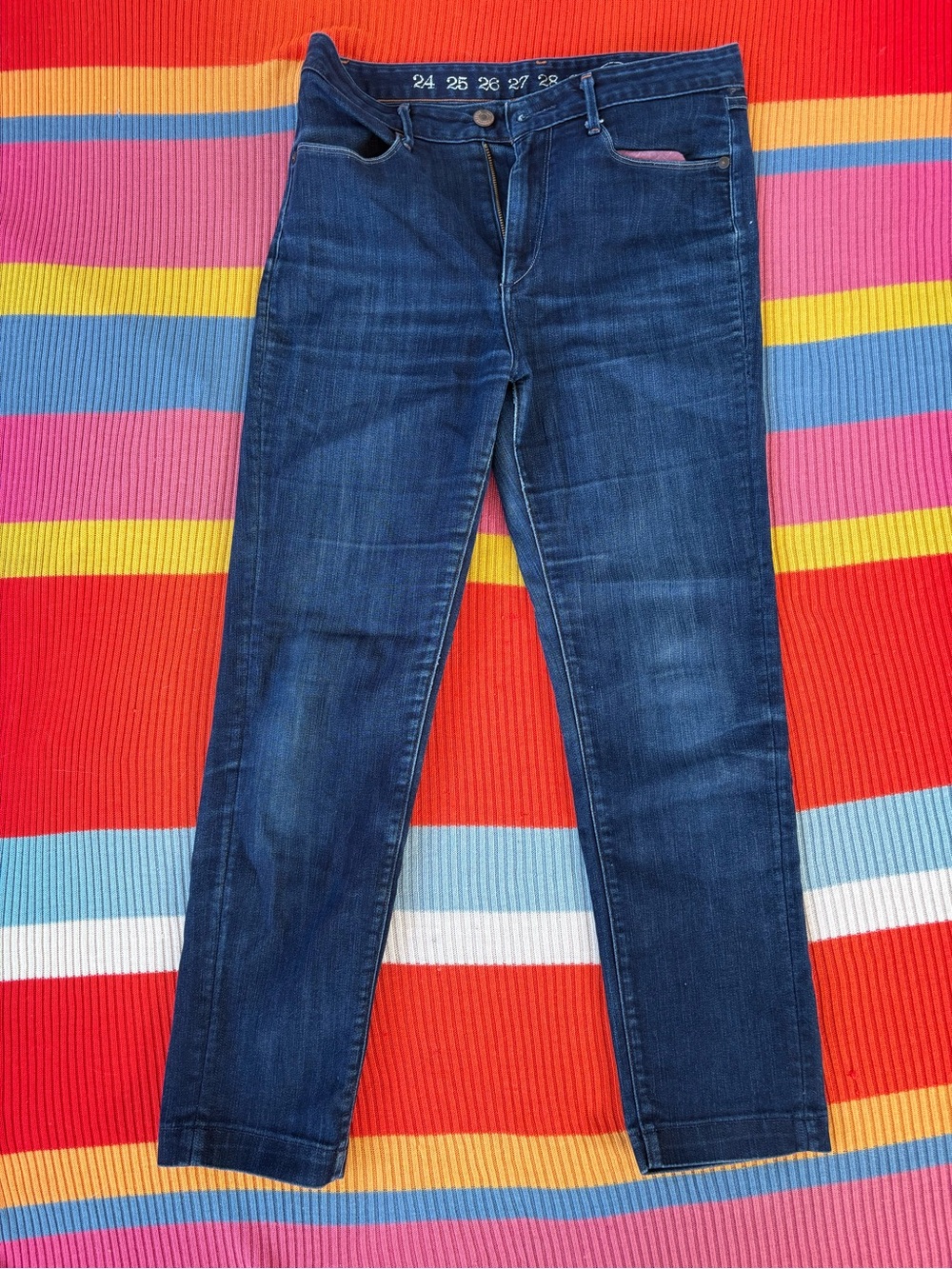 Earnest Sewn Dark Wash Jeans
